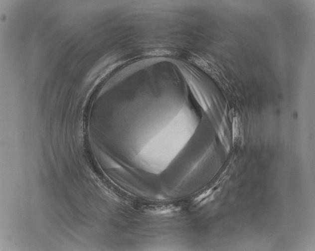 X0000075380243200609251159