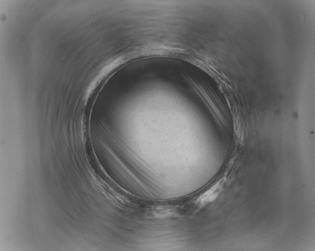 X0000075380244200609251159