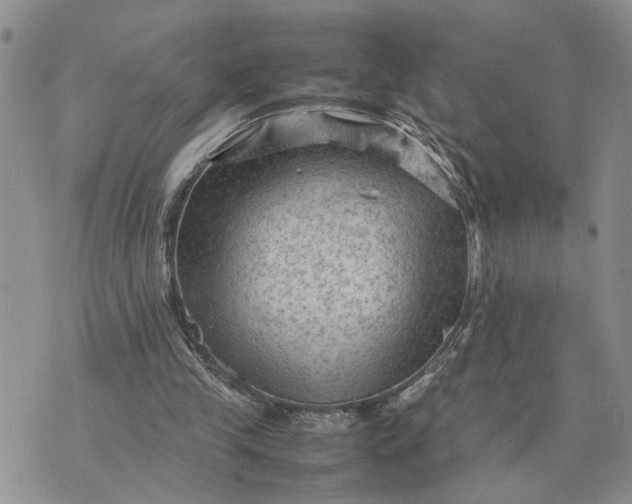 X0000075380245200609251159