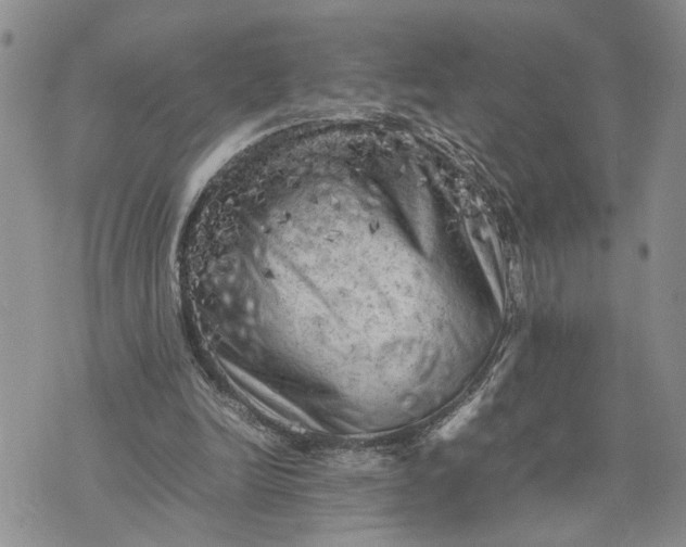 X0000075380246200609251159