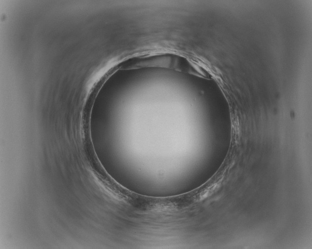 X0000075380248200609251159