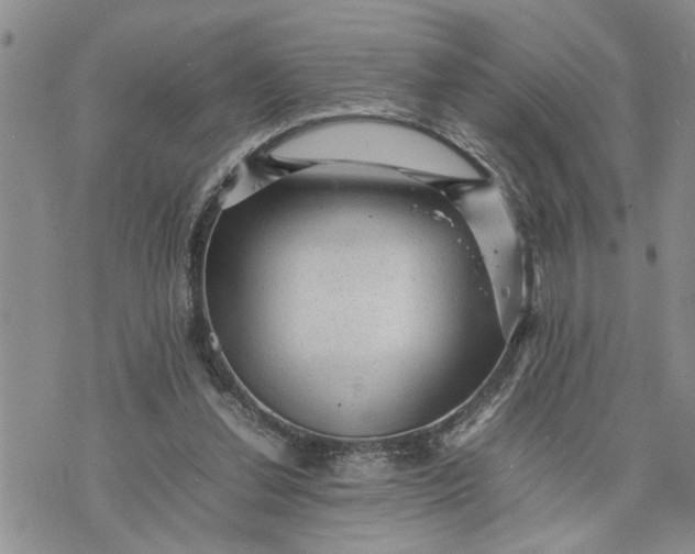 X0000075380252200609251159