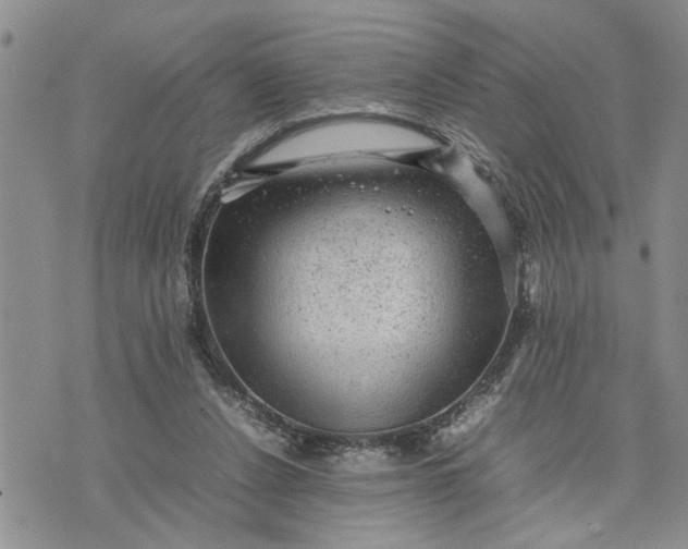 X0000075380256200609251159