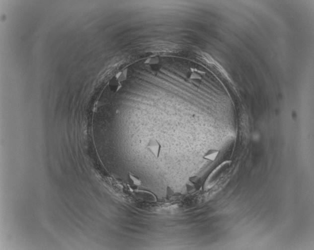 X0000075380257200609251159