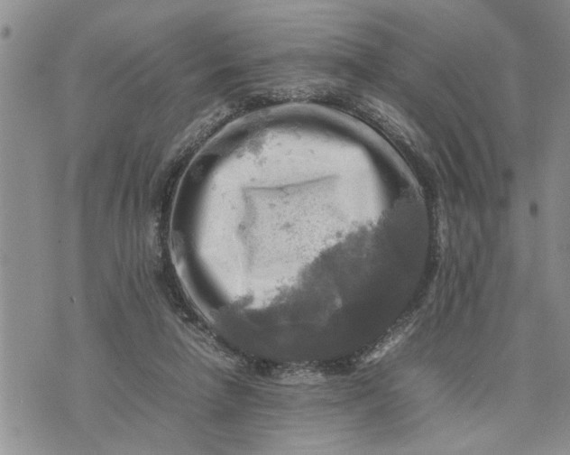 X0000075380258200609251159