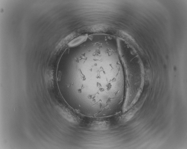 X0000075380260200609251159