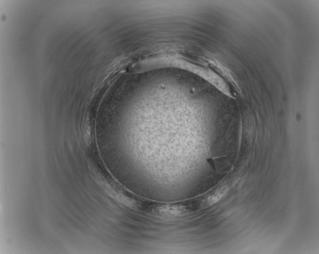 X0000075380261200609251159