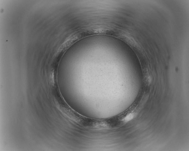 X0000075380262200609251159