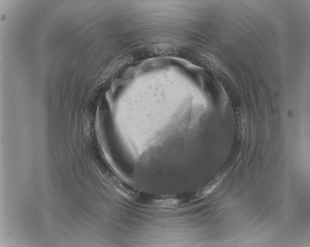 X0000075380266200609251159