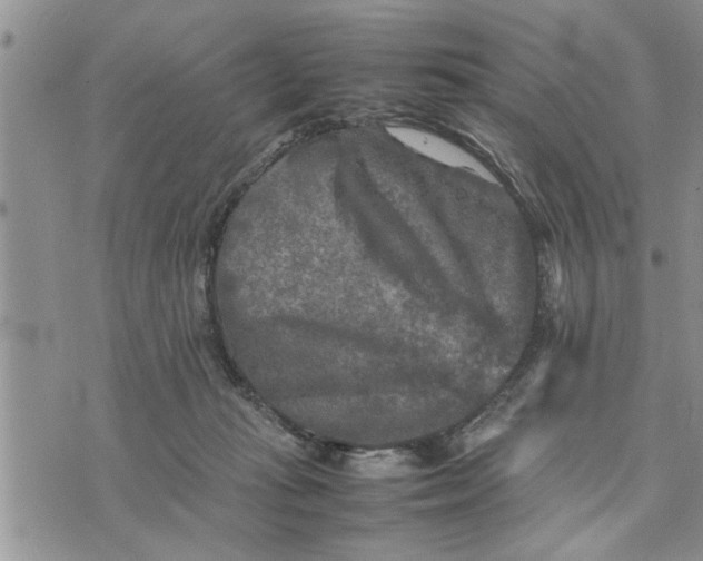 X0000075380269200609251159