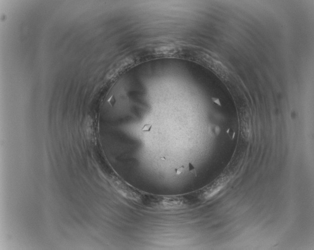 X0000075380270200609251159