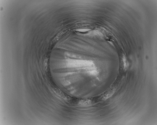 X0000075380271200609251159