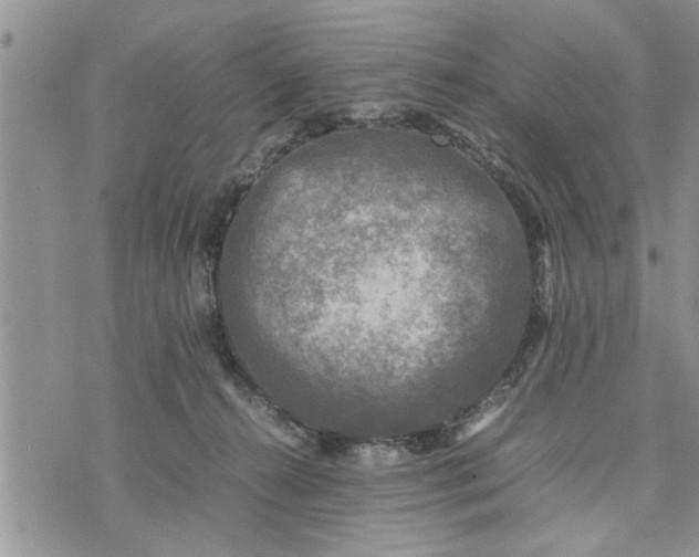 X0000075380272200609251200