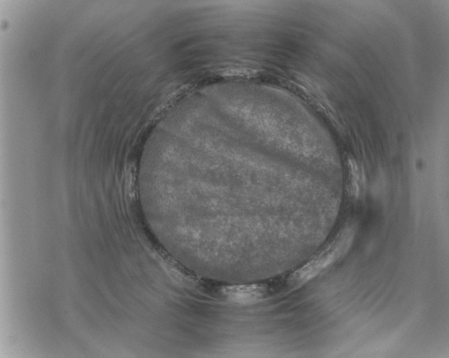 X0000075380273200609251200