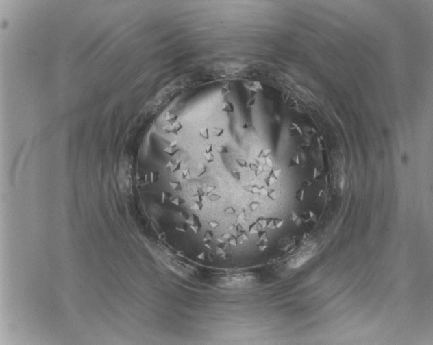 X0000075380274200609251200