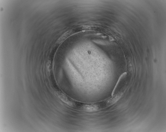 X0000075380275200609251200