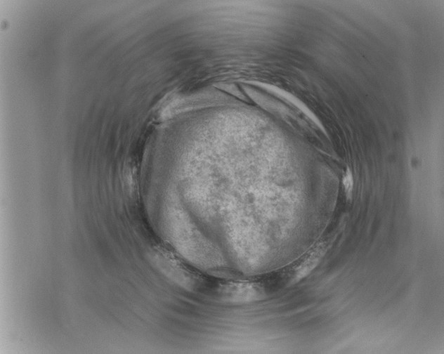 X0000075380276200609251200