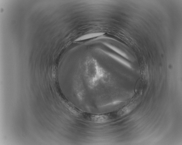 X0000075380277200609251200