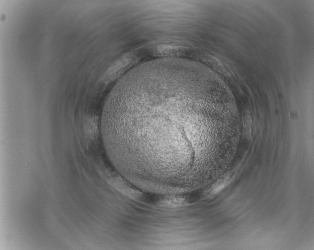 X0000075380278200609251200