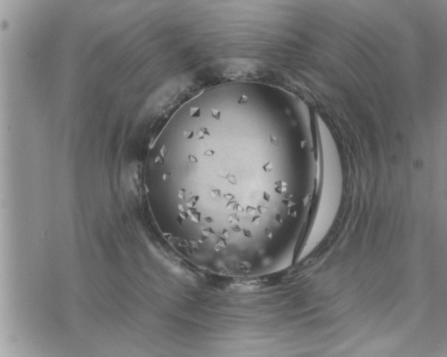 X0000075380280200609251200