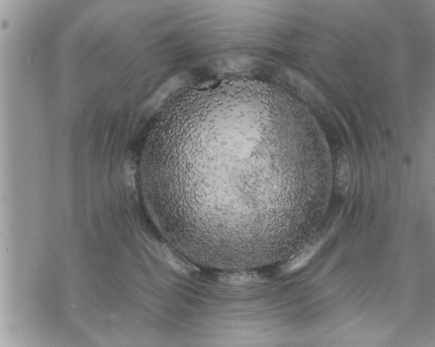 X0000075380282200609251200