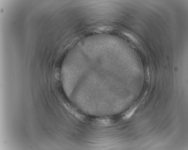 X0000075380284200609251200