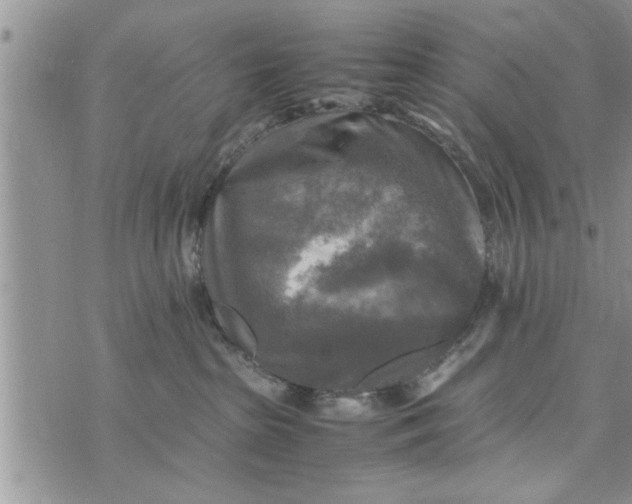 X0000075380285200609251200