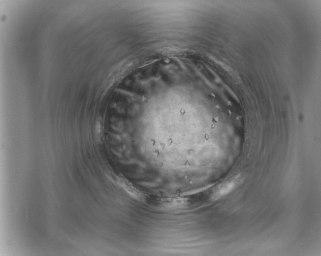 X0000075380288200609251200