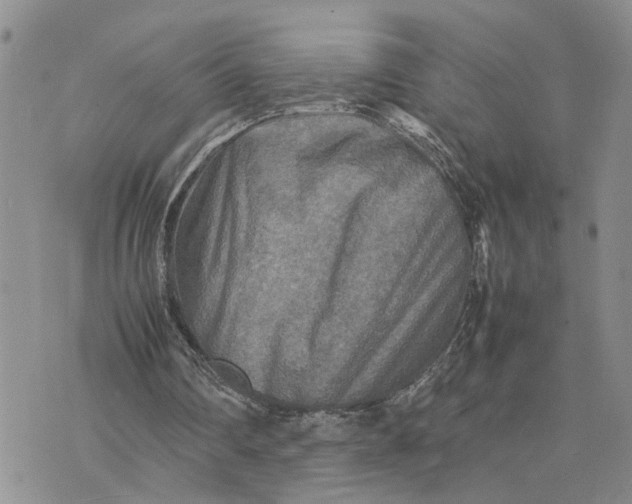 X0000075380290200609251159