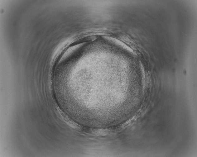 X0000075380293200609251159