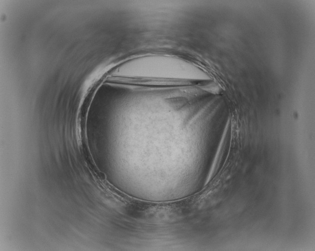 X0000075380294200609251159