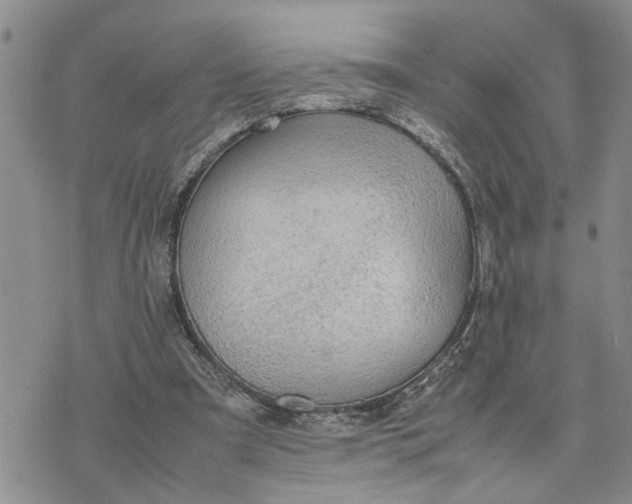 X0000075380297200609251159