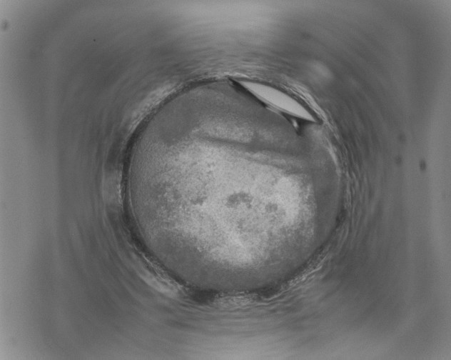 X0000075380299200609251159