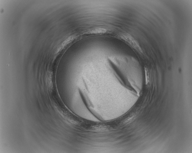 X0000075380300200609251159