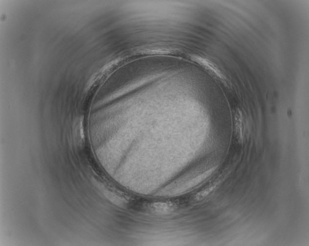 X0000075380302200609251159