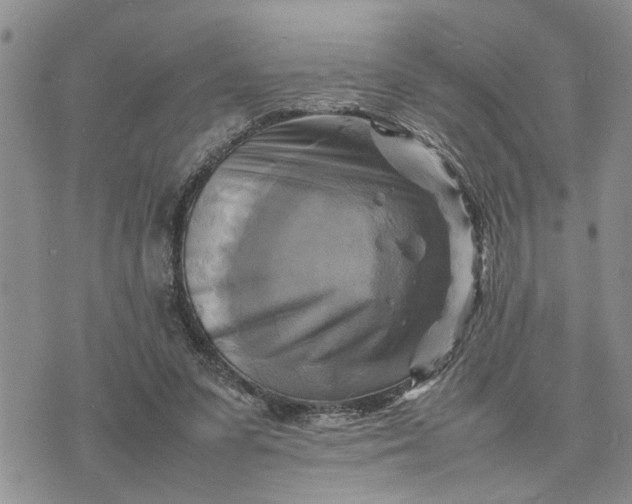 X0000075380303200609251159