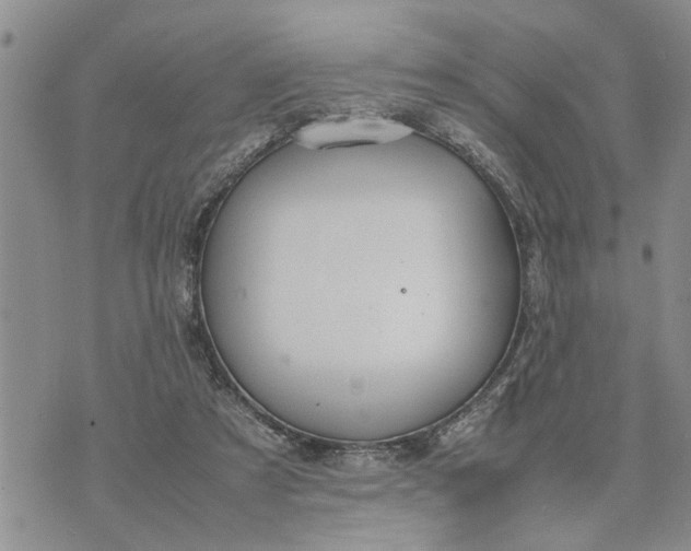 X0000075380305200609251159