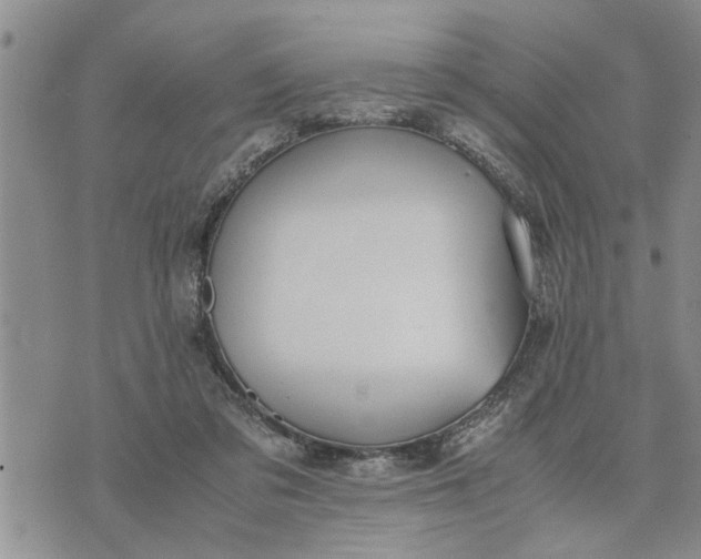 X0000075380309200609251159