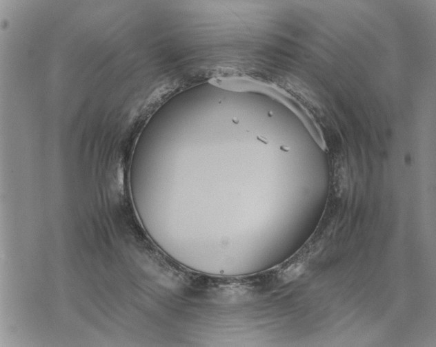 X0000075380310200609251159