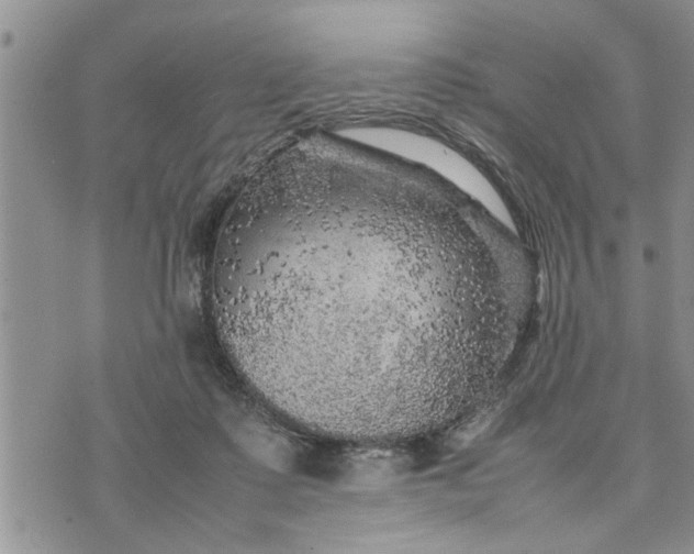 X0000075380315200609251159