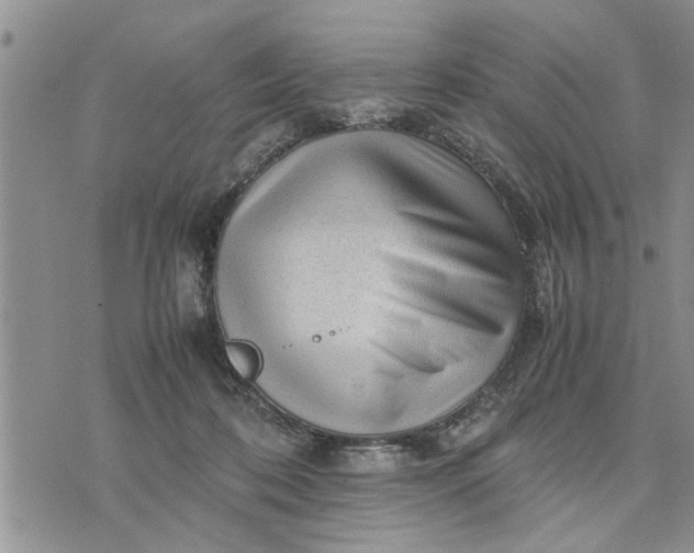 X0000075380316200609251159