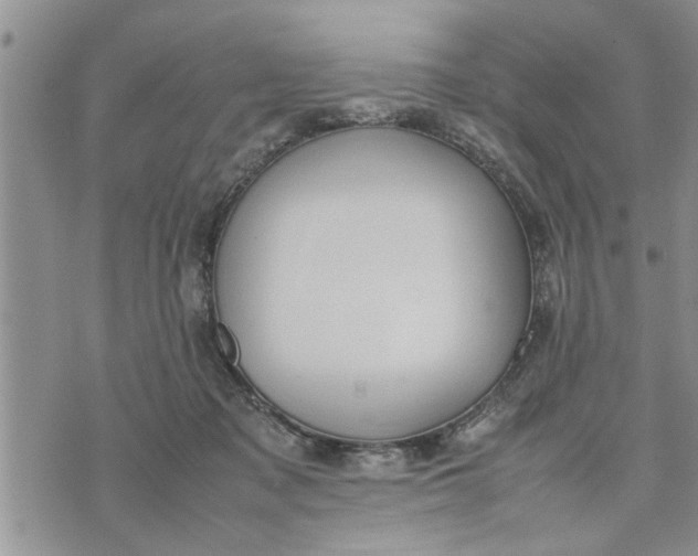 X0000075380317200609251159