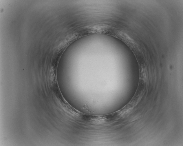 X0000075380318200609251159