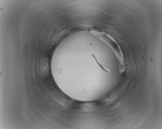 X0000075380320200609251158