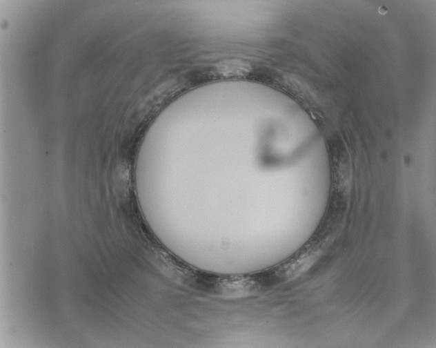 X0000075380321200609251158