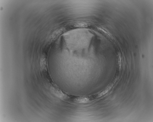 X0000075380322200609251158