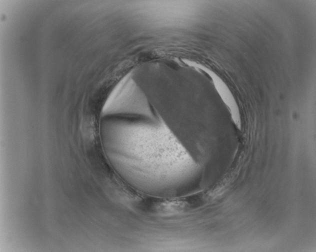 X0000075380323200609251158