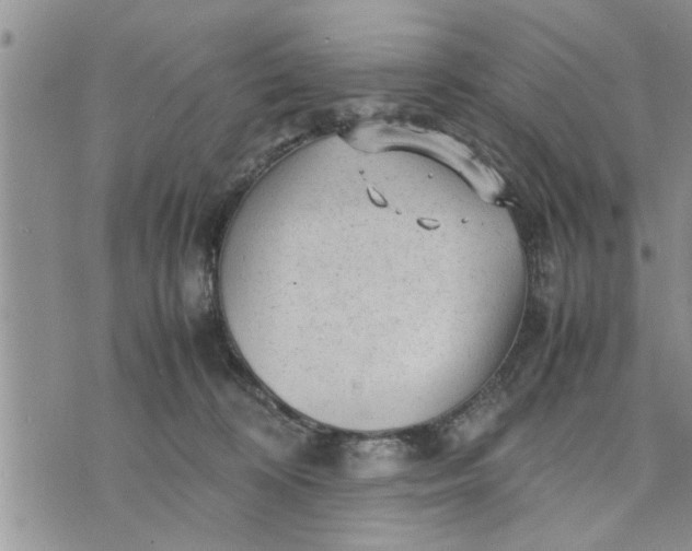 X0000075380324200609251158