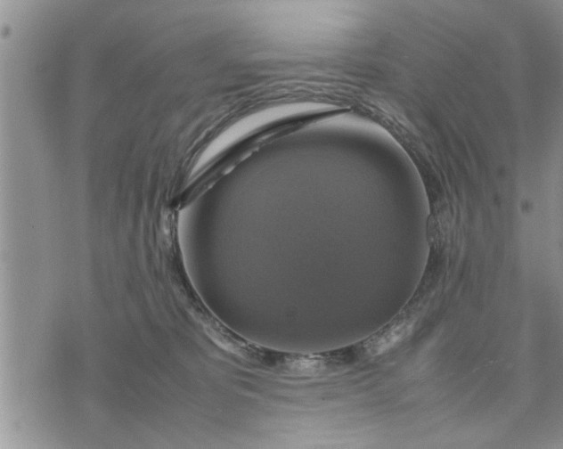 X0000075380325200609251158