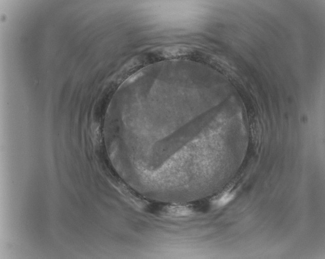 X0000075380327200609251158